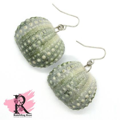 Kina Shell / Sea Urchin Shell earrings - Large