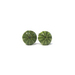 Kina Shell / Sea Urchin Studs - green 10mm