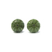 Kina Shell / Sea Urchin Studs - green 12mm