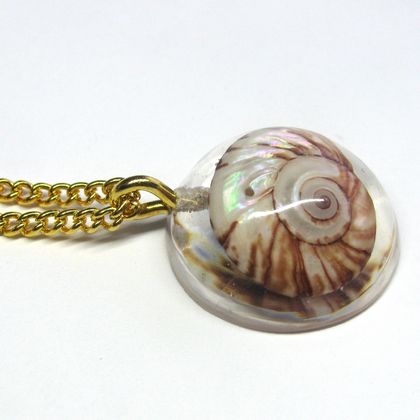 Sea Snail Shell Pendant Necklace