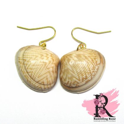 Zigzag Bivalve Shell earrings