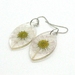 Daisy & Leaf earrings - Pointed Oval