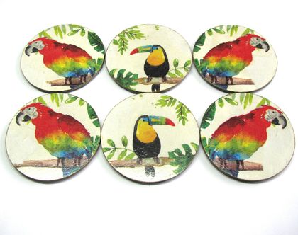 Set of 6 Parrot & Toucan Coasters