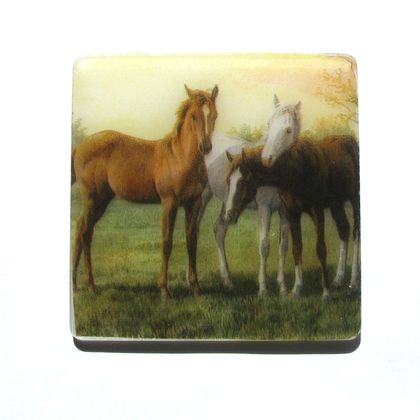 Horse Themed Coasters (set 4)