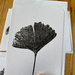 Set of 4 Ginkgo Leaf Print Greeting Cards - Assorted 