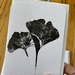 Set of 4 Ginkgo Leaf Print Greeting Cards - Assorted Small