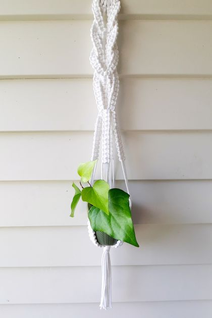 Crisp white macrame plant hanger 