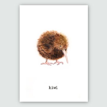 Baby Kiwi Art Print - Wall Art - Native Birds Nursery Art