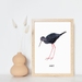 Kakī - Black Stilt Art Print - Native Birds of NZ Nursery Art