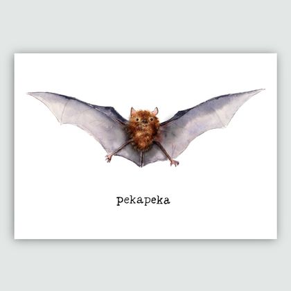 Pekapeka Art Print - Long Tailed Bat - Native Animals of NZ Nursery Art A4