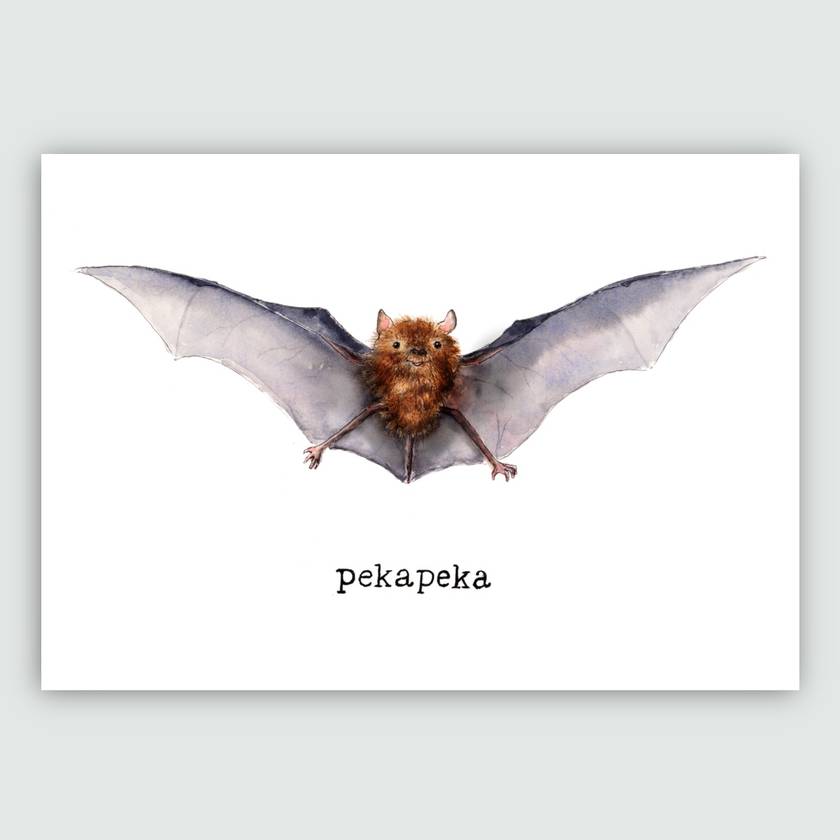 Pekapeka Art Print - Long Tailed Bat - Native Animals of NZ A4 | Felt