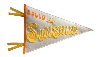 Hello Sunshine Flag