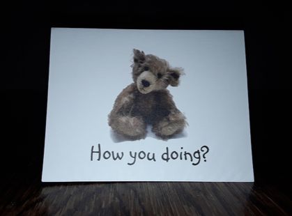 Set of 4  bear note cards - How You Doing?