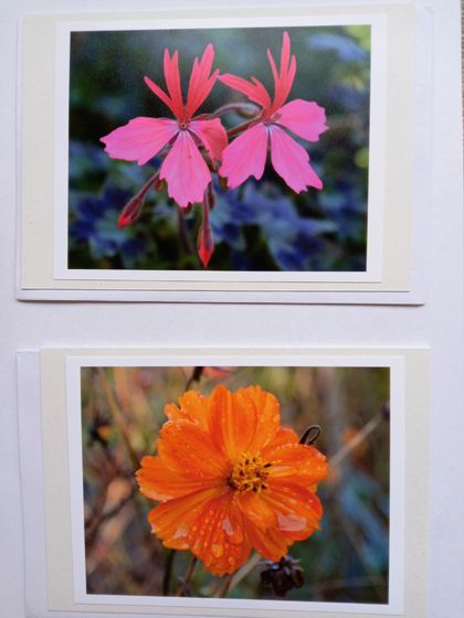 Five flower greeting cards