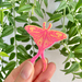 Luna Moth - Fridge Magnet 