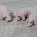 Pig Family