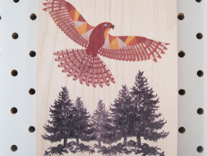 Falcon (Karearea)​ : Plywood Art Block