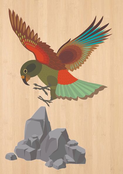 Kea - Native NZ Bird Art Print on bamboo veneer
