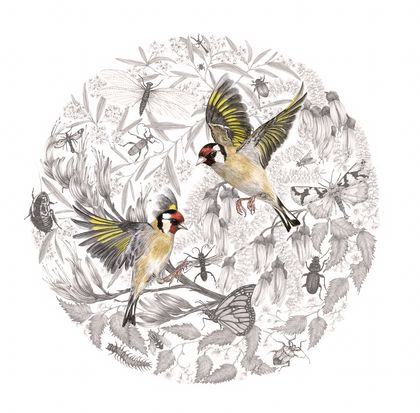 Goldfinch Mandala-Fine Art Print