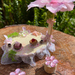 ✨  GORGEOUS - FLOWER FAIRY PARTY TABLE  with 2 FAIRY CUPCAKES