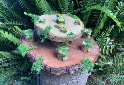 ✨ UNIQUE  -    NATURAL WOODLAND  FAIRY TABLE  &  4 Stools ✨