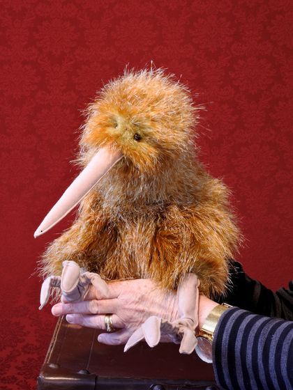'Roa' - our cute Kiwi puppet!