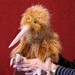 'Roa' - our cute Kiwi puppet!