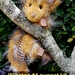 'Winston' #4 - our really cool possum puppet!