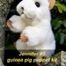 'Jennifer' #5 - our fabulous guinea pig puppet!