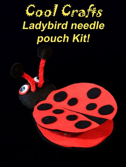 Dotty ladybird - simple 'Cool Craft' kit for children