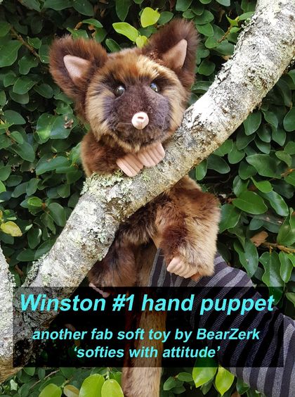 'Winston' - our really cool possum puppet!