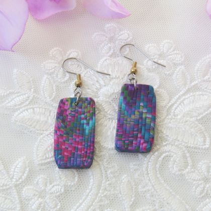 Multi Coloured Earrings