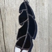 Stained Glass Huia Feather