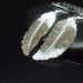 Seagull feather drop earrings - fused glass 