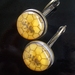 Honey bee, bronze lever back earrings - fused glass