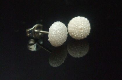 Petite urchin shell post earrings - fused glass