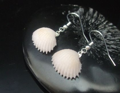 Clam shell drop earrings - fused glass