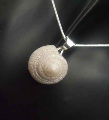 Spiral shell pendant - fused glass