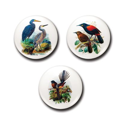 Mini Button Magnets - Buller’s Birds - Piwakawaka, Tieke, Matuku Moana