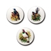 Mini Button Magnets - Buller’s Birds - Piwakawaka, Tui, Kereru