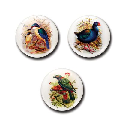 Mini Button Magnets - Buller’s Birds - Takahe, Kingfisher, Kaka