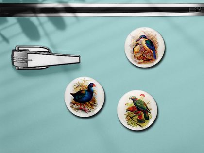 Mini Button Magnets - Buller’s Birds - Takahe, Kingfisher, Kaka