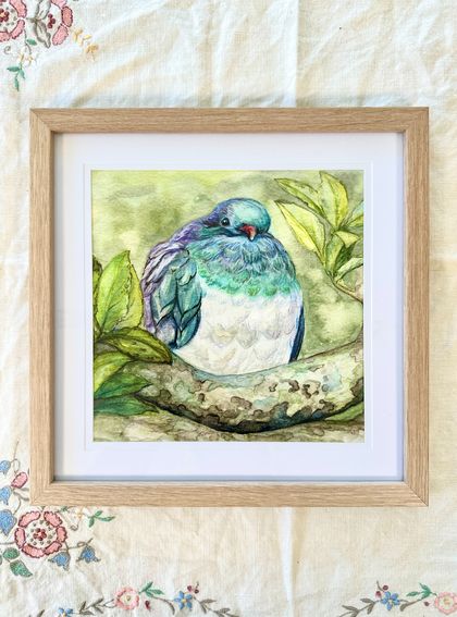 Kererū 8x8" Fine Art Print of Original Watercolour and Pencil