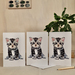 3 Pack Greeting Cards; Kitten - (Blank inside)