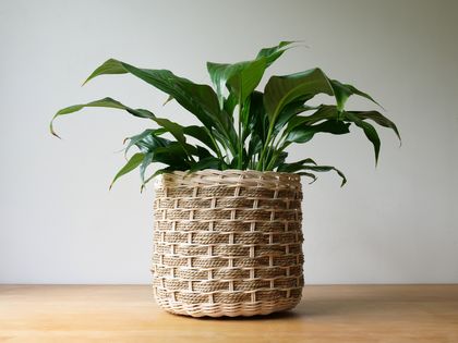 Handwoven Indoor Plant Basket - Natural Rattan & Seagrass