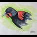 SADDLEBACK BIRD ORIGINAL A4 FRAMED ARTWORK