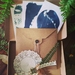 Cyanotype/ Sunprinting Home Kit : Card Maker Pack 